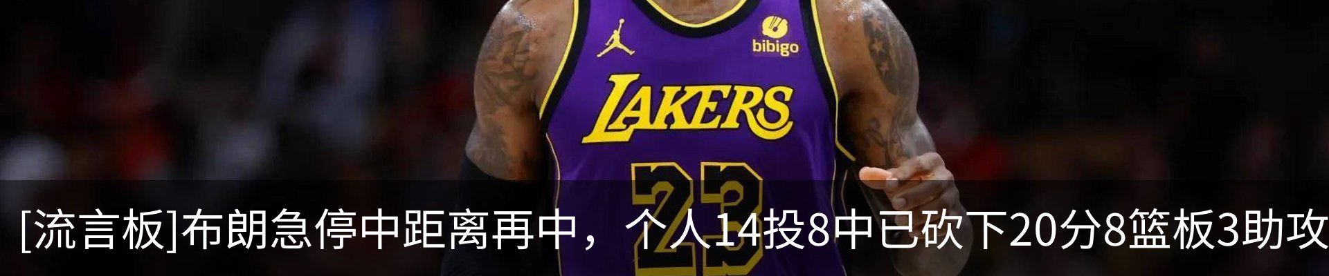 最新动态